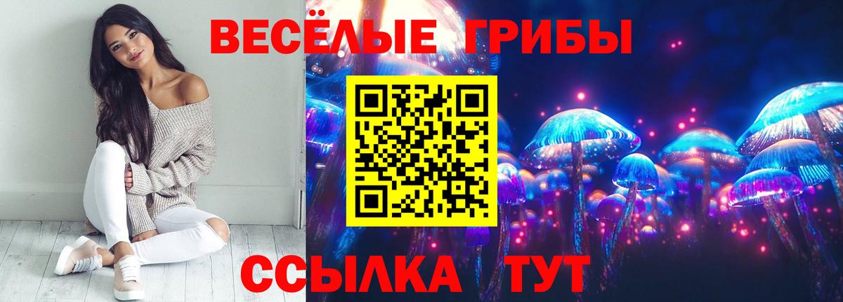 Галлюциногенные грибы MAGIC MUSHROOMS Горячий Ключ